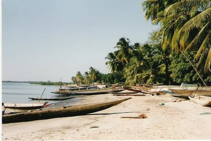 Pirogues posées sur une lagune de la Casamance au Sénégal
