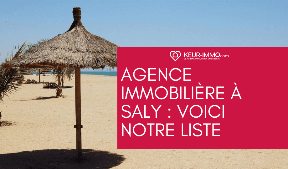 agence immobilière saly