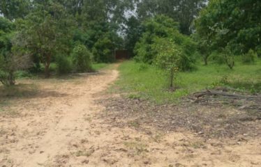 DAKAR SANGALKAM : Site de 5 hectares à vendre à Ndiakhirate