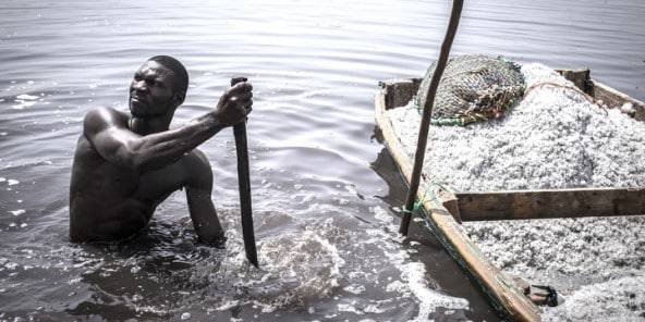 Homme ramassant le sel dans le lac rose au Sénégal