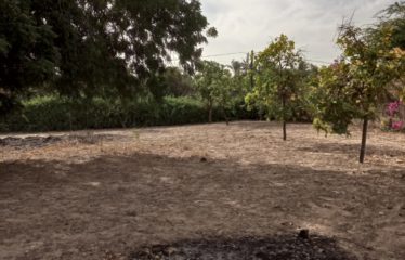 WARANG : Terrain à vendre de 800 m2 proche de la lagune