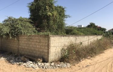 SOMONE : Terrain de 300 m2 à vendre clôturé et viabilisé