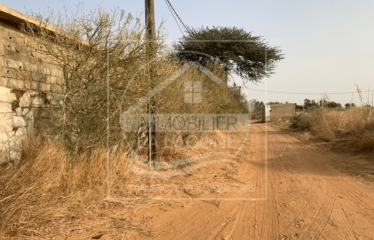 NGUERIGNE : Terrain de 3600m2 à vendre dans un quartier résidentiel