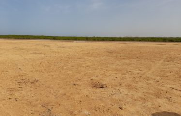 SOMONE : Terrain de 1 087 m2 proche lagune à vendre