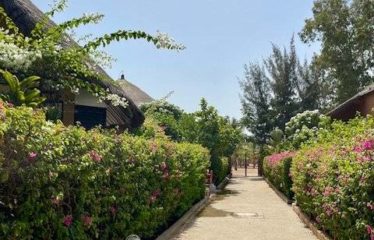 SALY : Magnifique villa à 100m de la plus belle plage de Saly à vendre