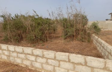NGAPAROU : Terrain constructible de 1 569 m2 à vendre