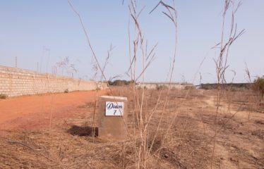 NGAPAROU : Terrains de 1500M² à 2000M² à vendre